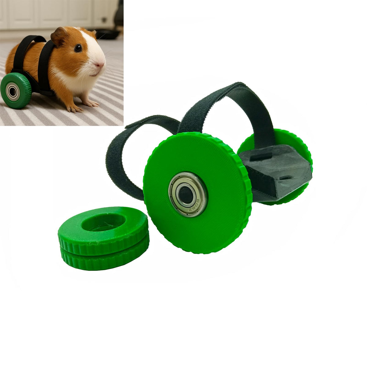 Guinea Pig Wheelchair with Adjustable Harness, 2 Wheel Sizes V770024