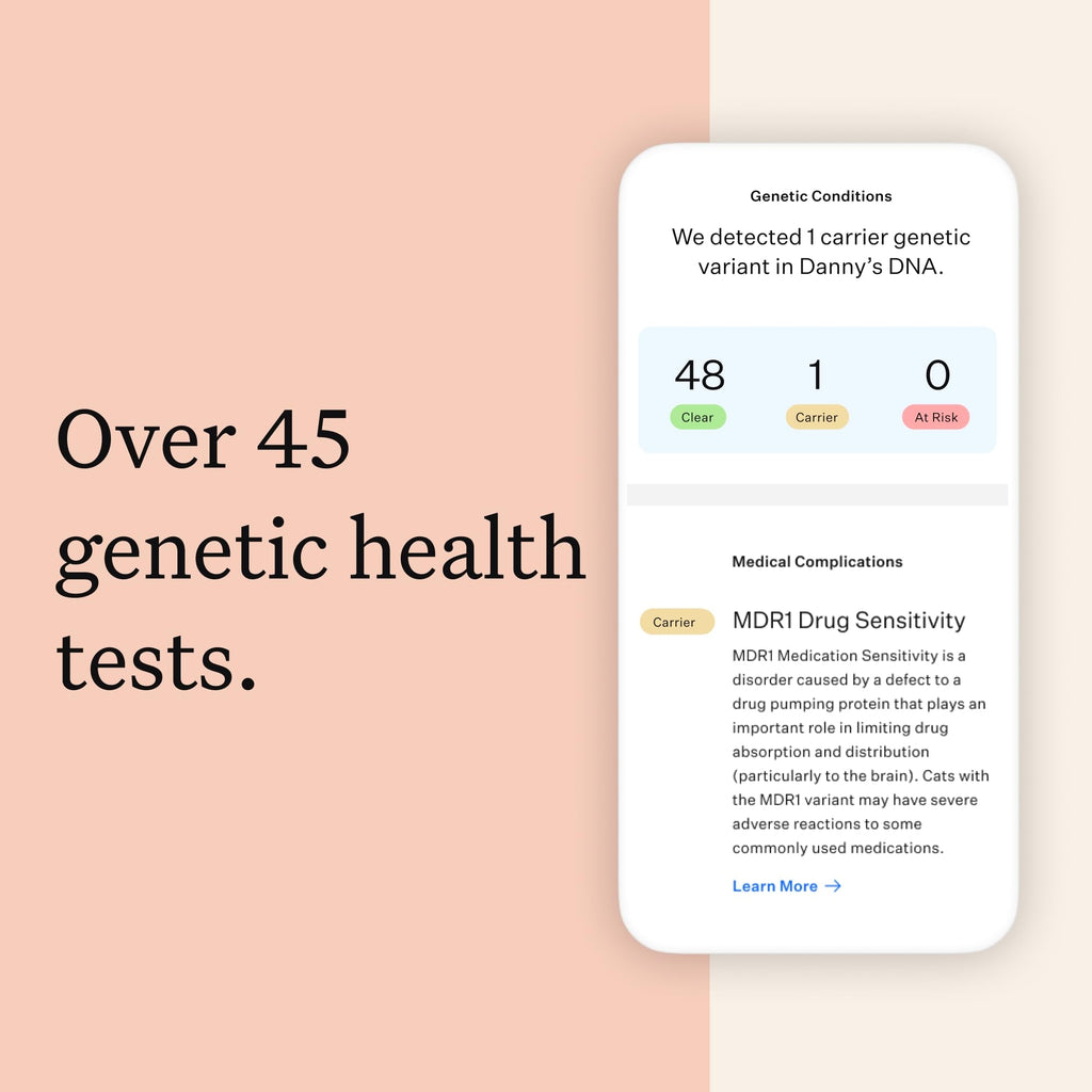 Cat DNA Test Kit, 45 Health Conditions, 1 Pack X44842