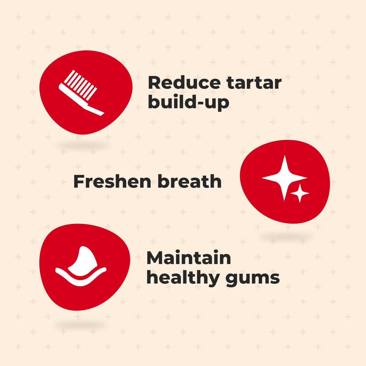 Fresh Flavor 25 Dental Treats P883