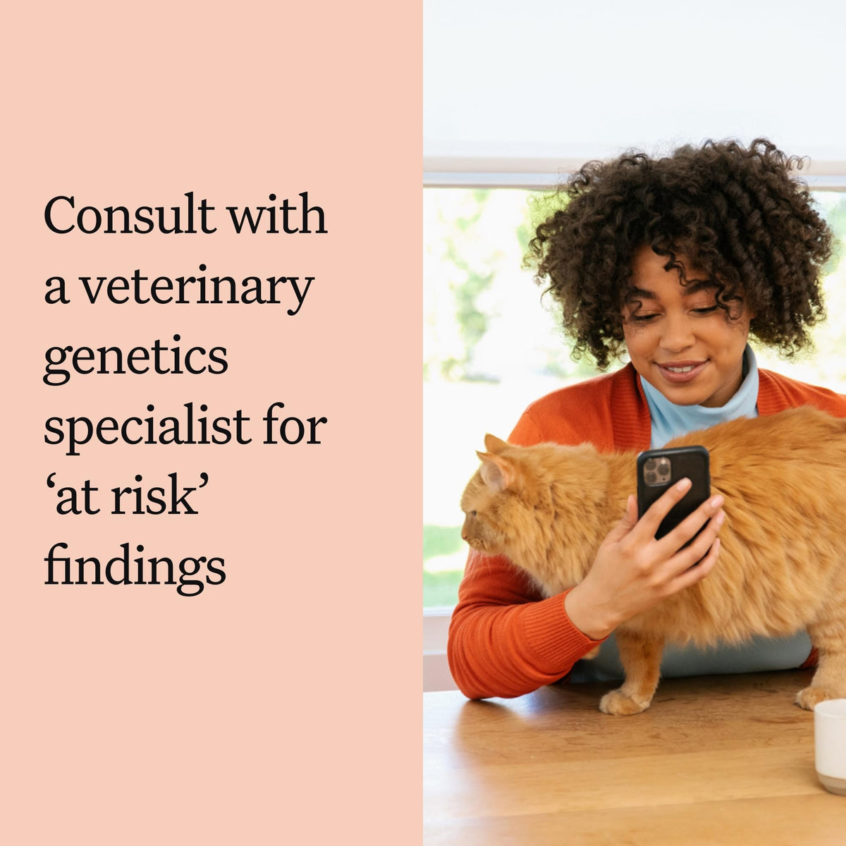 Cat DNA Test Kit, 45 Health Conditions, 1 Pack X44842
