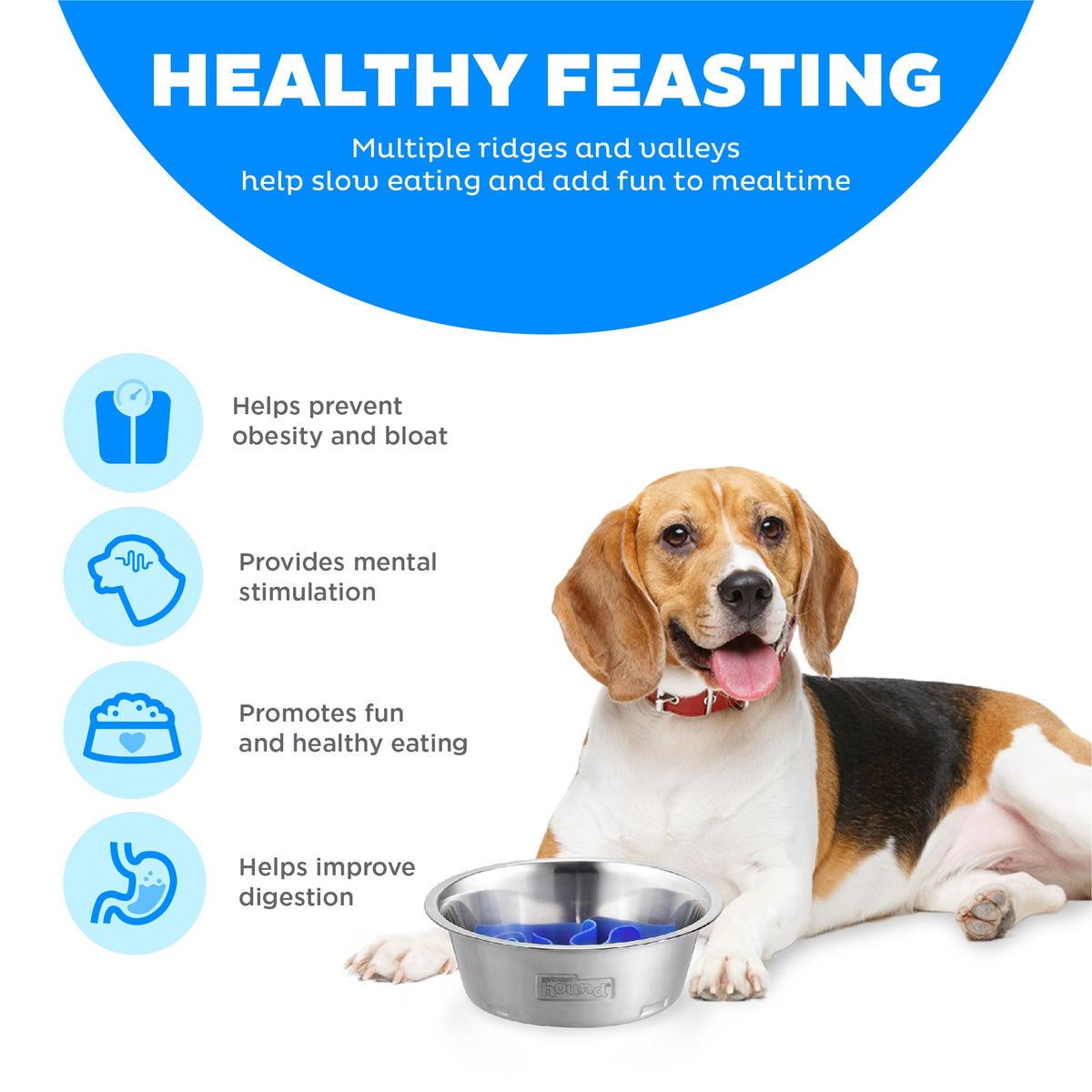 Stainless Steel Slow Feed Dog Bowl O940932