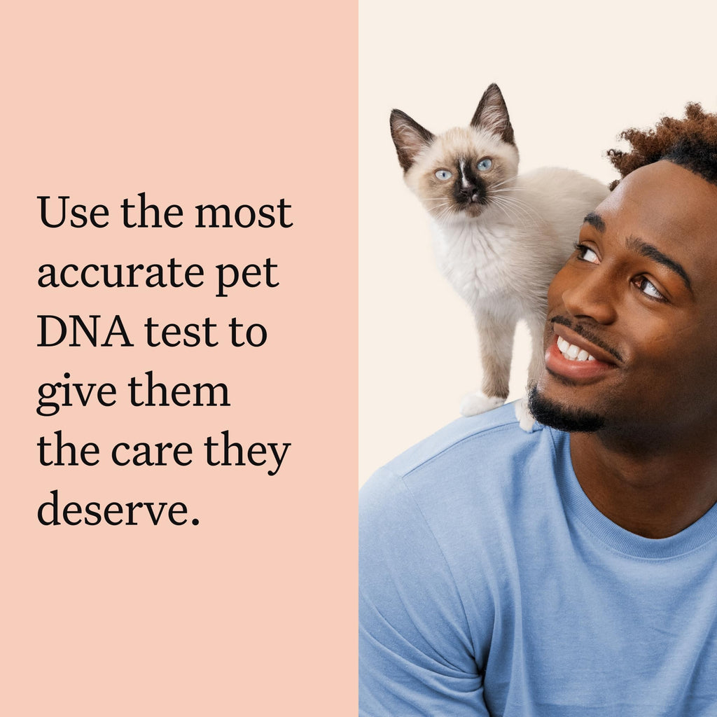 Cat DNA Test Kit, 45 Health Conditions, 1 Pack X44842