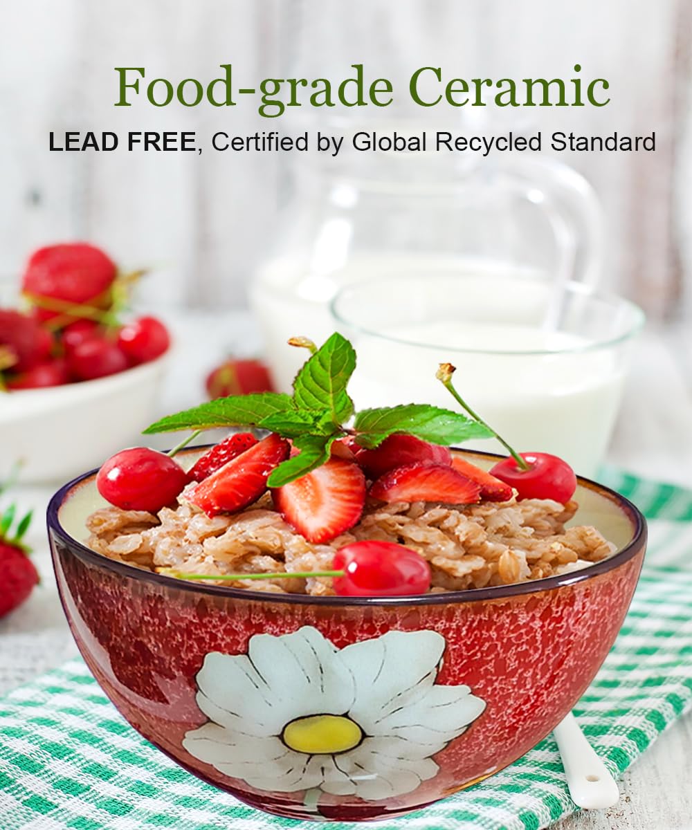 Ceramic Cereal Bowl Set of 4, 28oz Floral Pattern, Microwave Safe V6754