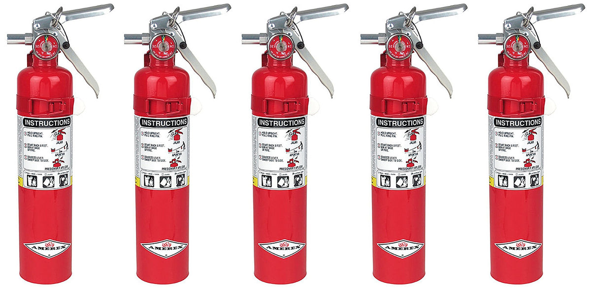2.5lb ABC Dry Chemical Fire Extinguisher with Wall Bracket K675032