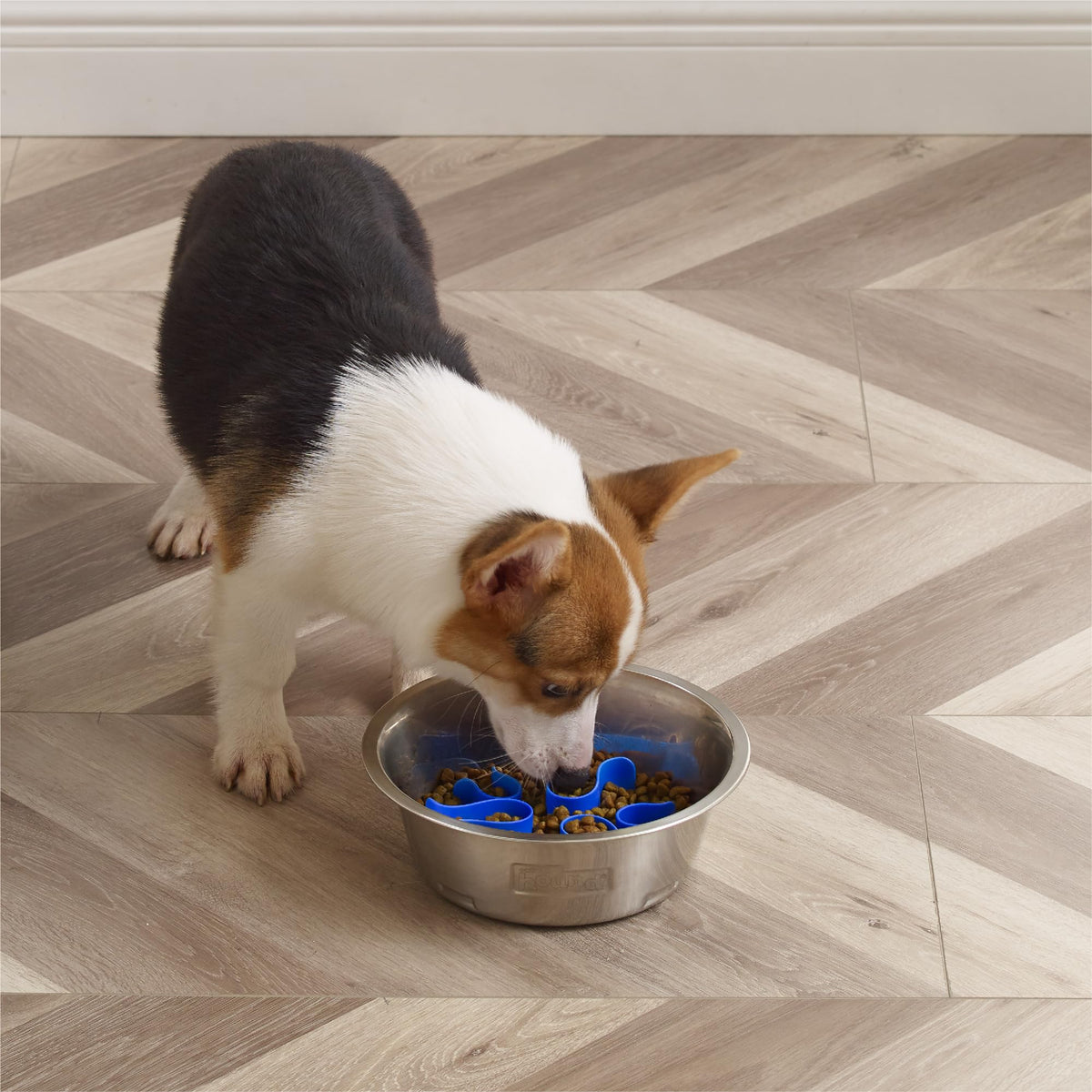Stainless Steel Slow Feed Dog Bowl O940932