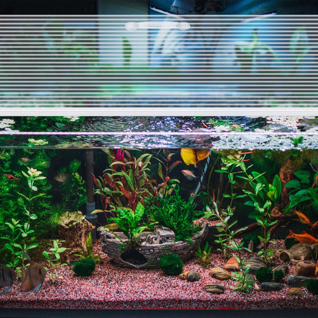Clear 16 x 8 Inch Aquarium Lids Canopy Set U60506