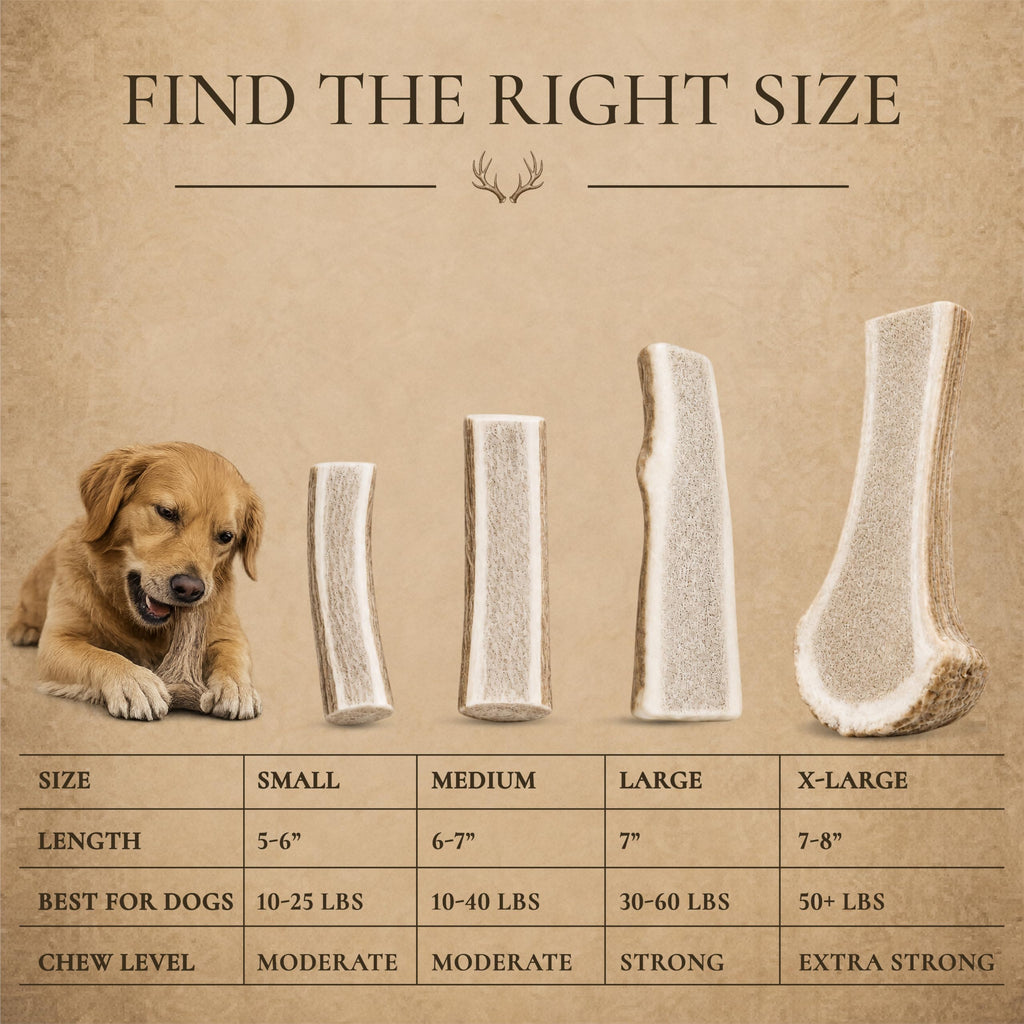 Split Elk Antler for Large Dogs, 2 Pack L7900