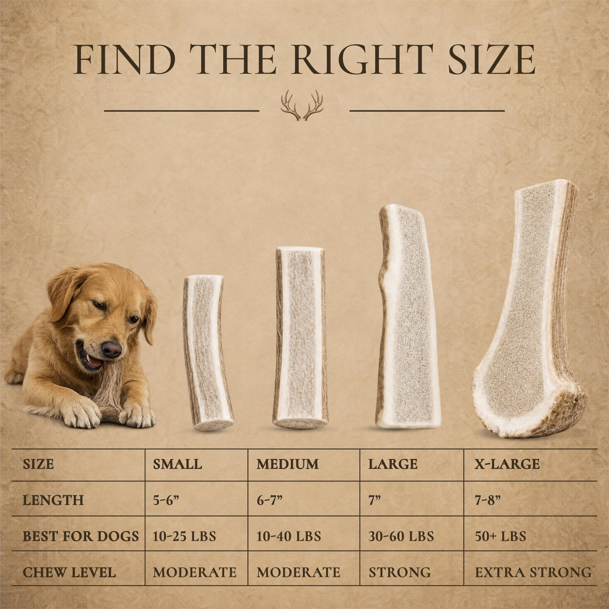 Split Elk Antler for Large Dogs, 2 Pack L7900