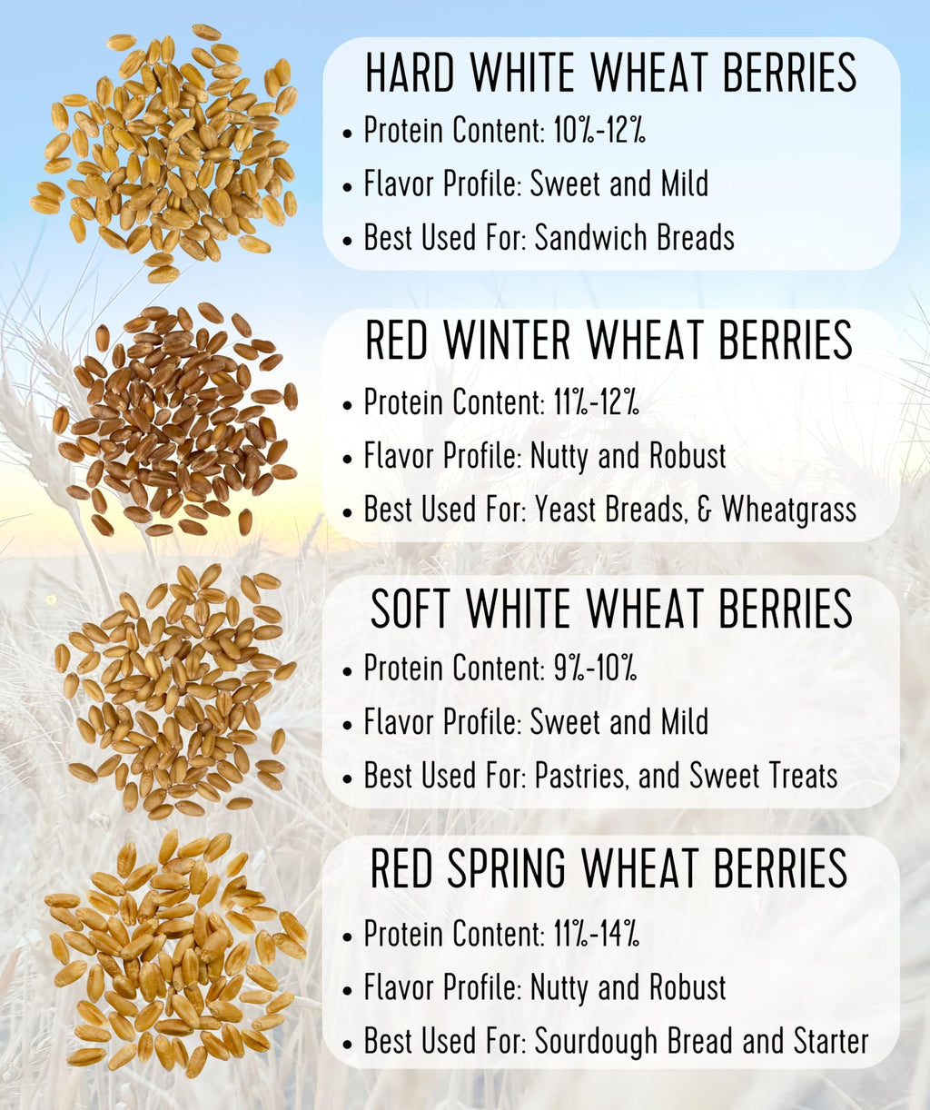 Hard White Wheat Berries 100 lbs H813850