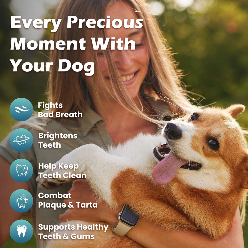 Dog Teeth Cleaning Powder, Dental Powder and Breath Freshener, 200 Grams R297050