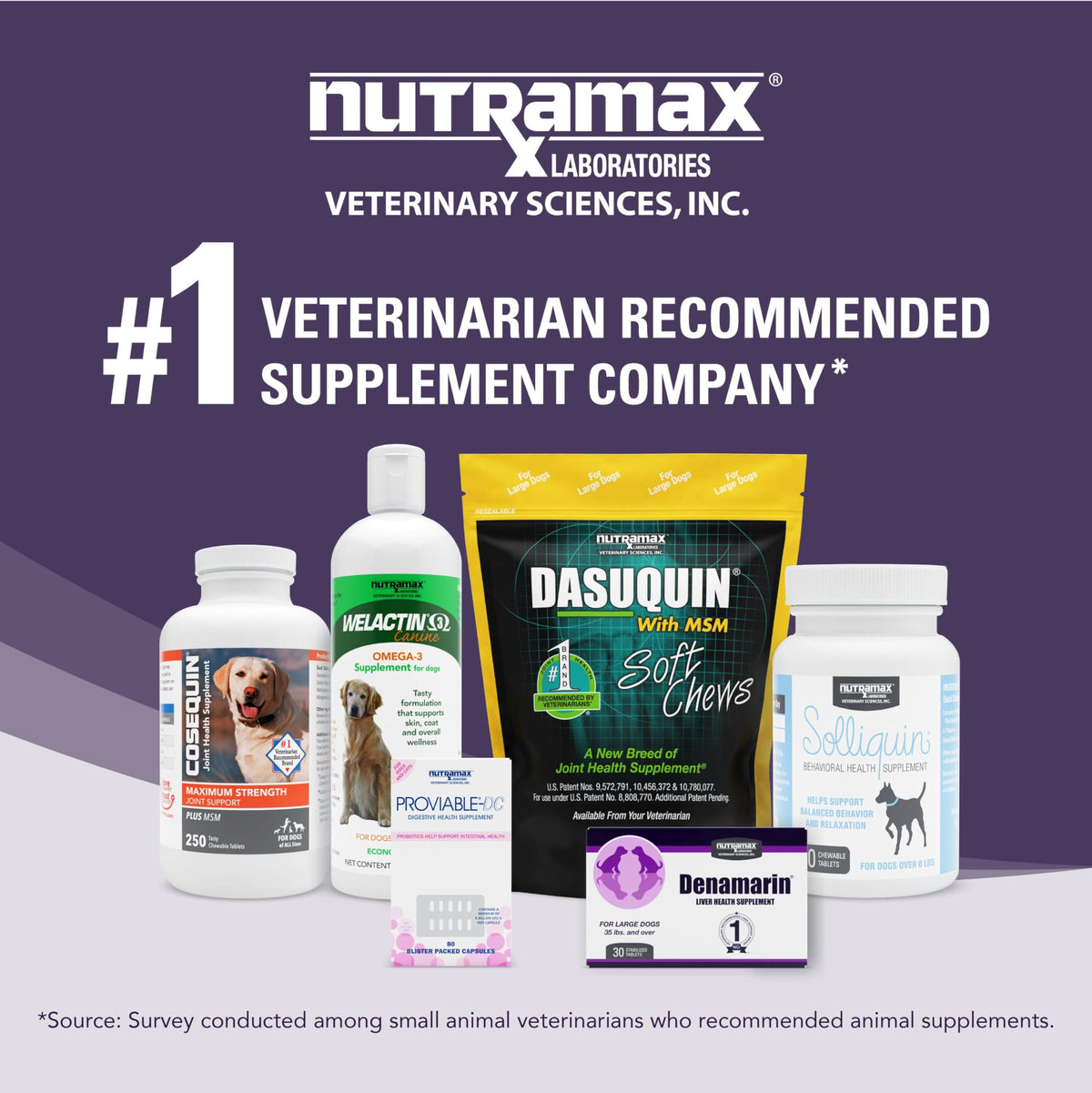 Liver Supplement for Medium Dogs, 30ct Tablets Z539