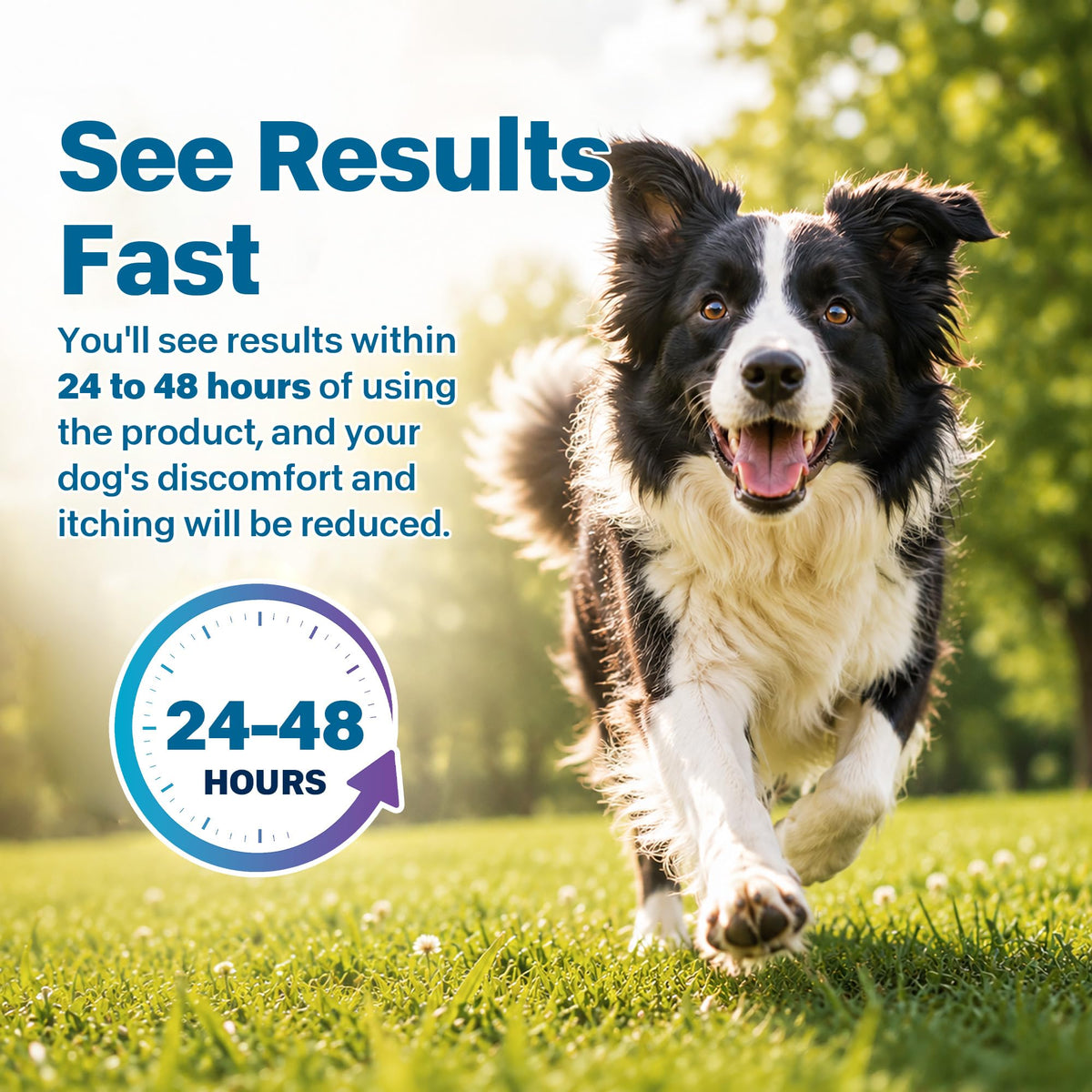 Flea and Tick Prevention for Medium Dogs 23-44 lbs 6 Doses C5325