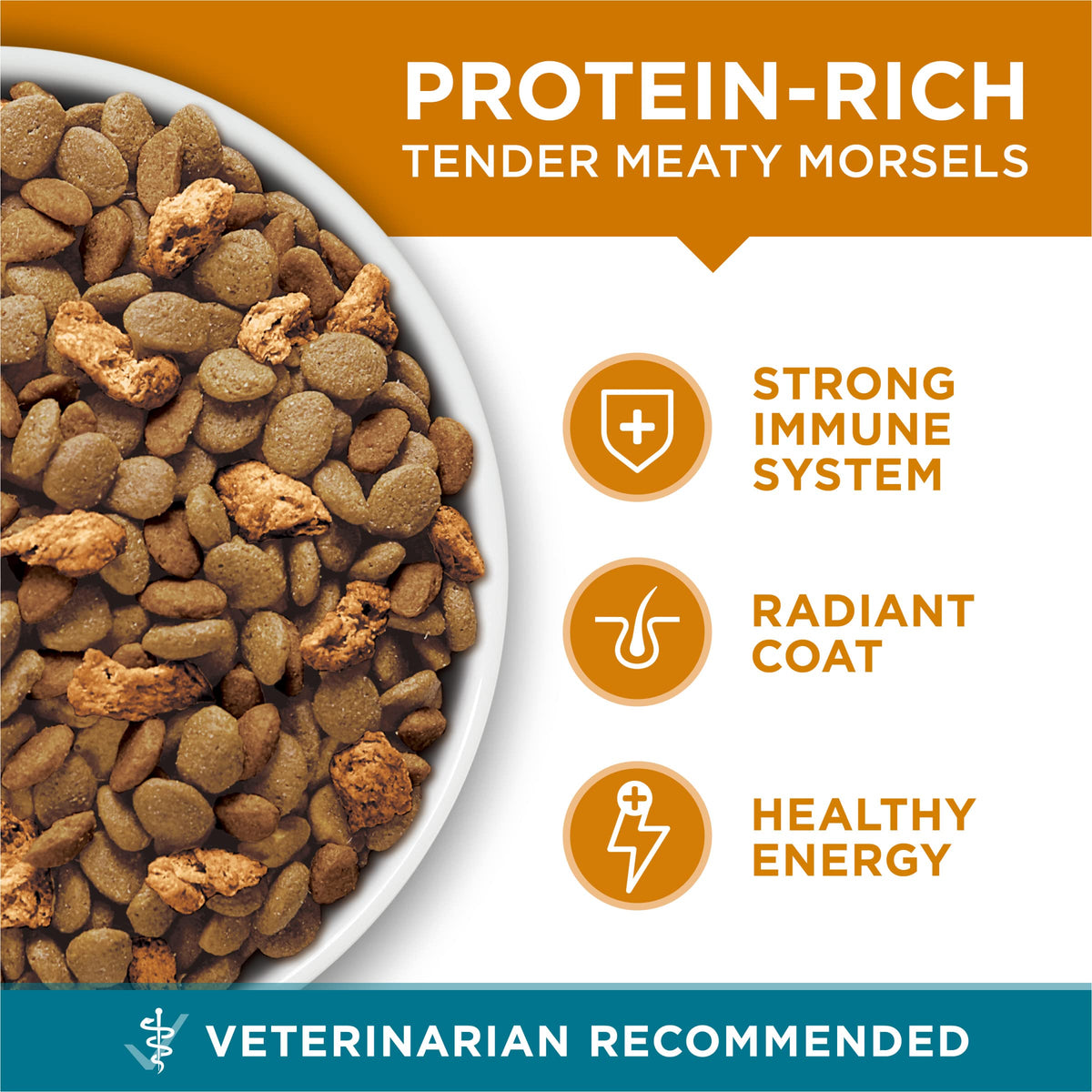 Dry Cat Food Chicken 7 lb Bag J697