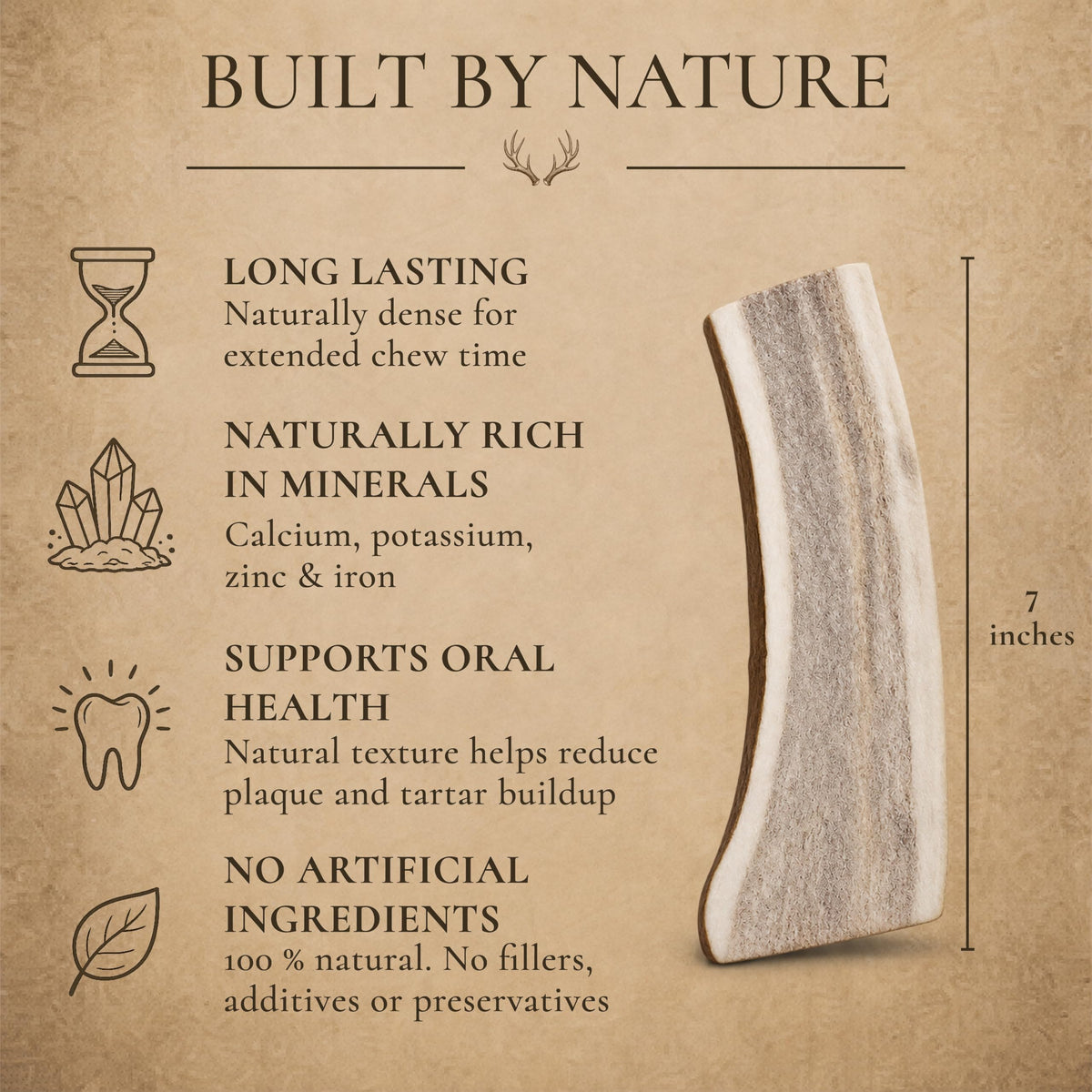 Split Elk Antler for Large Dogs, 2 Pack L7900
