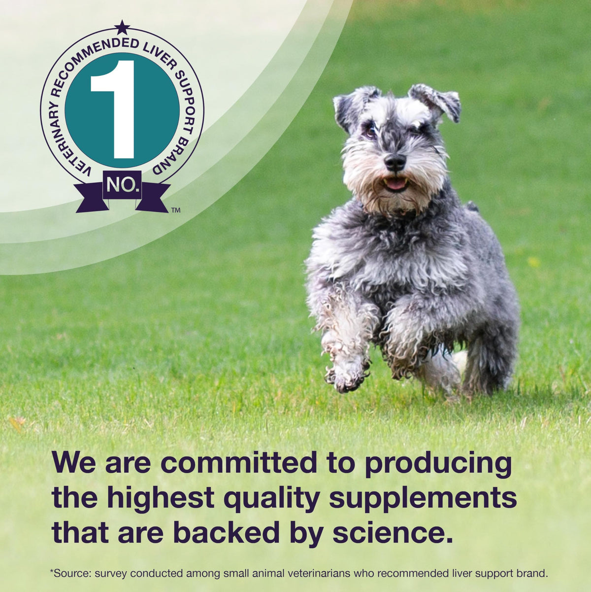 Liver Supplement for Medium Dogs, 30ct Tablets Z539