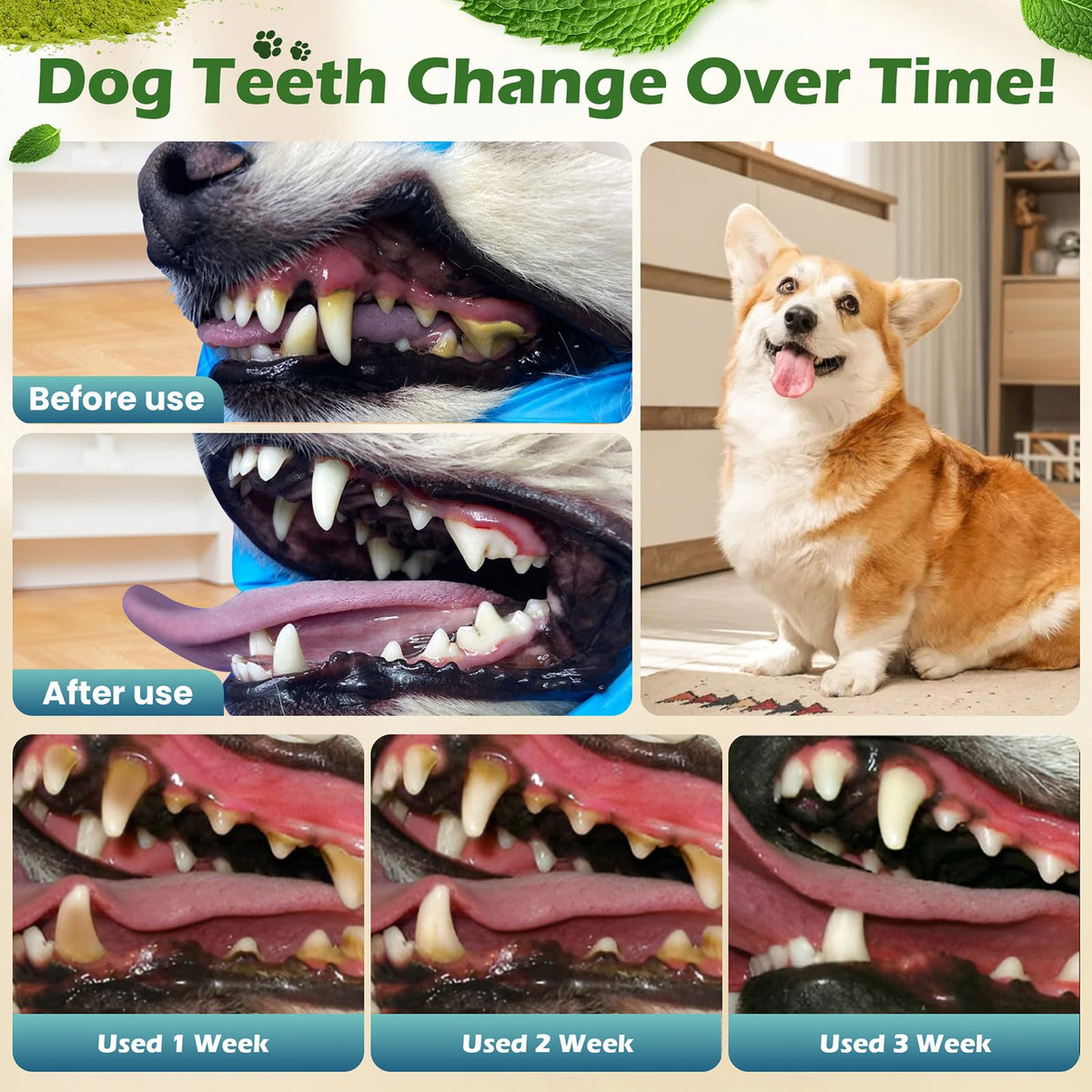 Dog Teeth Cleaning Powder, Dental Powder and Breath Freshener, 200 Grams R297050